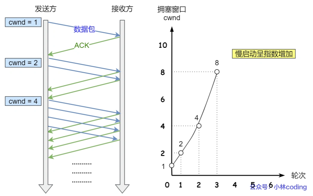 image-20220727082331521